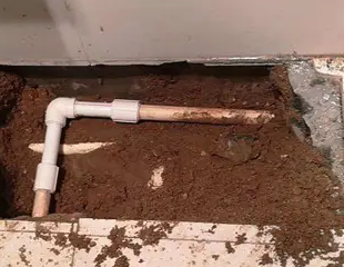 江都测漏水哪家好