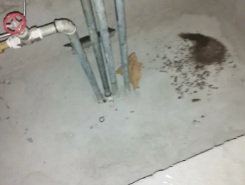 江都卫生间测漏水价格明细